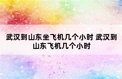 武汉到山东坐飞机几个小时 武汉到山东飞机几个小时